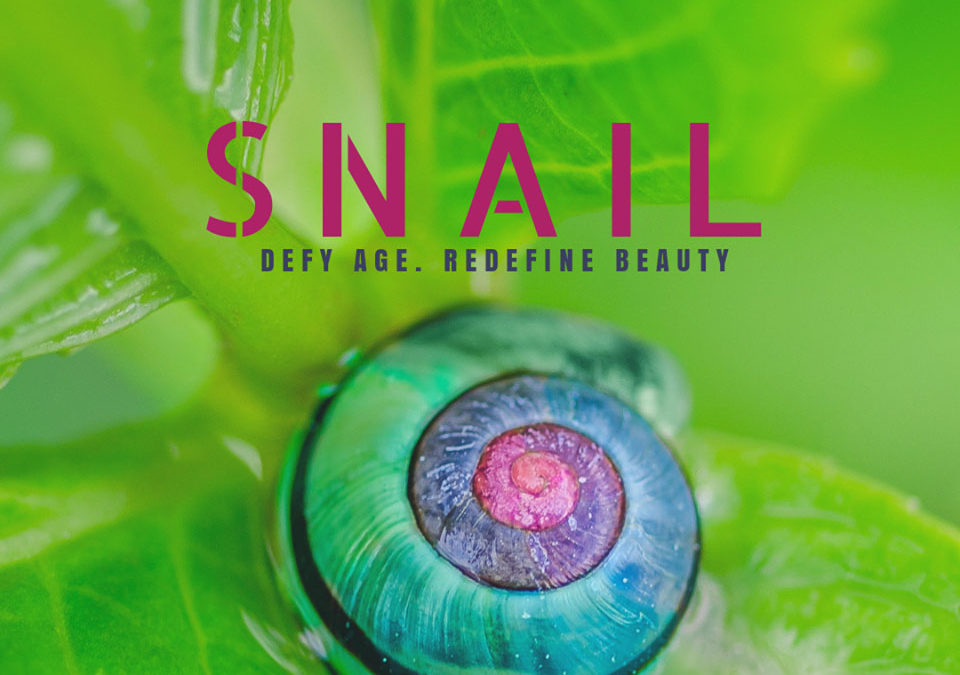 The Beauty in Snail